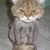 Janice Weathers's profile image
