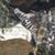 Michelle N. Forbis's profile image
