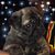 Angie Vess's profile image