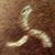 Ceile Fisher's profile image