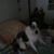 Lori Wright's profile image