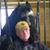 Scott Kelnhofer's profile image