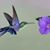 Denise Walecki's profile image