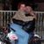 Mindy Crosby Nelson Harnish's profile image