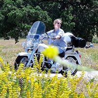 Tracy Tannen's profile image