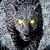Stephane Combot's profile image