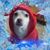 Sandra Barnhouse's profile image
