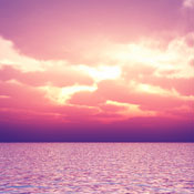 ancerj's profile image