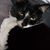 Kristi Beling's profile image