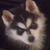 Angel Fauver's profile image