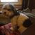 Patti Chapple Willis's profile image