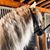 Nancy Shedrick's profile image