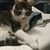 Jeanne Dwyer Pyrz's profile image