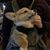 Jessie Margolis's profile image