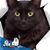 Theresa Holman's profile image