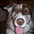 Tim Perkins's profile image