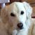 Mary Ann Monroe's profile image