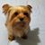 Marielos Gomez's profile image