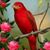 Chavez Delmy's profile image