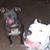 Bob Castagneri's profile image