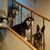 Jeanne Kelly's profile image