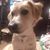 Nichole Workman Novak's profile image