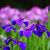 Shawna Lake's profile image