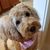 Mary Vinopal-Sowers's profile image