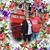 Donna Hegland Schallock's profile image