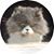 Masion Natalie's profile image