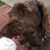 Denise Magnuson's profile image