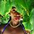 Piatra Alexandria-Nichole Hawkins's profile image