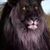 Naomi Hindman's profile image