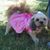 Deborah McLean's profile image