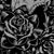 Cameron Johnson's profile image
