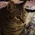 Samantha Eder's profile image