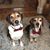 Jennifer Cassano's profile image