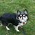 Tia Cobourne's profile image