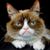 Mark Stratton's profile image