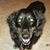 Karen M Gately's profile image