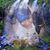 Debra Bramwell's profile image