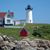 Joan McGee Scarale's profile image