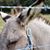 Helen Jones's profile image