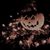 Kellyanne Courtney's profile image