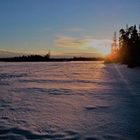 Catherine Cruz's profile image