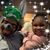 Quintin Brown's profile image