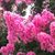 Joy Ingels Lennington's profile image
