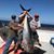 Dave Ayres's profile image