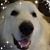 Janet Black's profile image