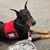 Charlyn Morse Palmer's profile image